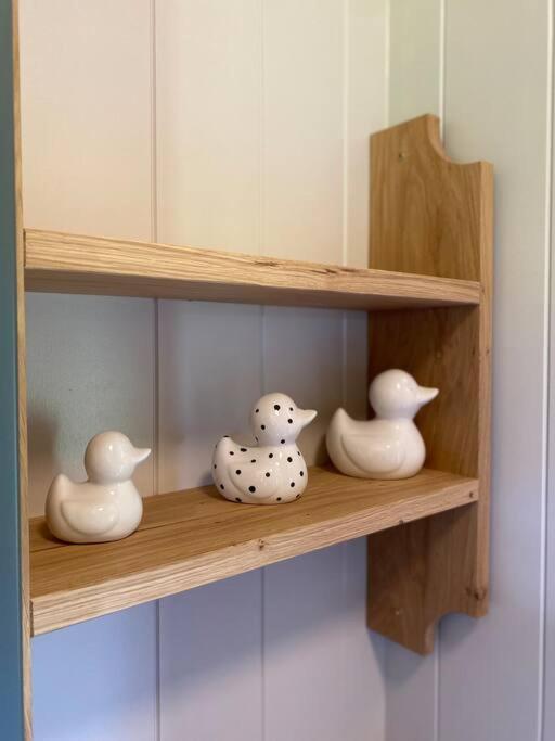 The Black Swan Shepherd Hut Ketton 外观 照片